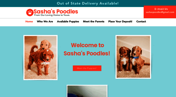 sashaspoodles.com