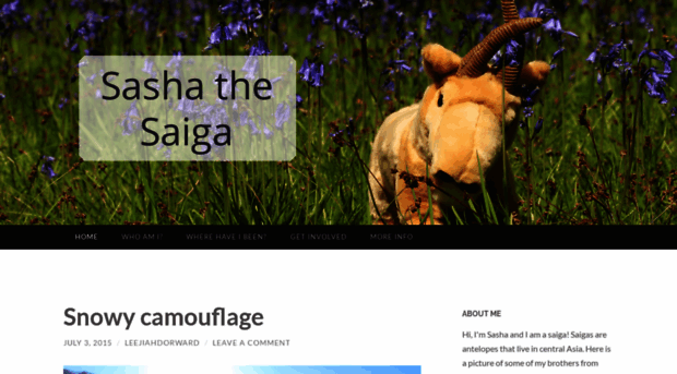 sashathesaiga.wordpress.com