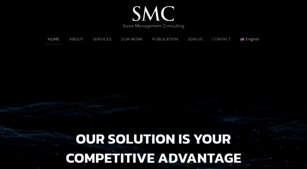 sasinconsulting.com