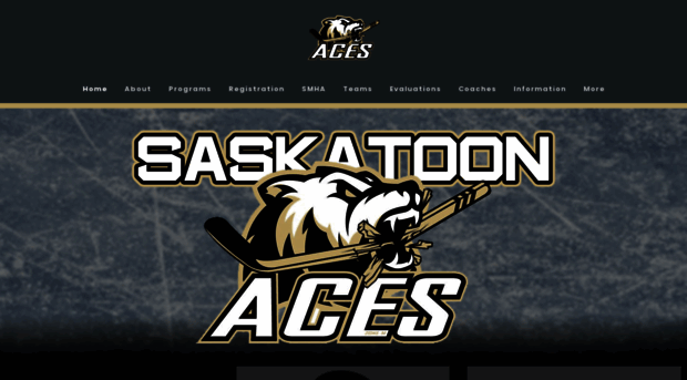 saskatoonaces.ca