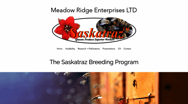 saskatraz.com