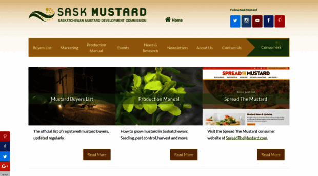 saskmustard.com