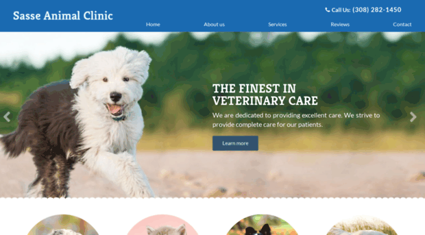 sasseanimalclinic.com