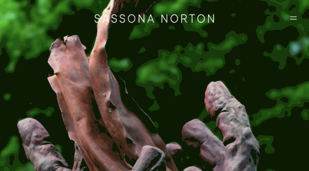 sassonanorton-sculpture.com