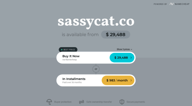 sassycat.co