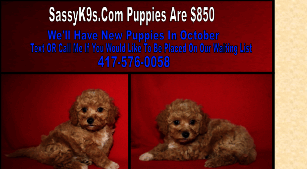sassyk9s.com