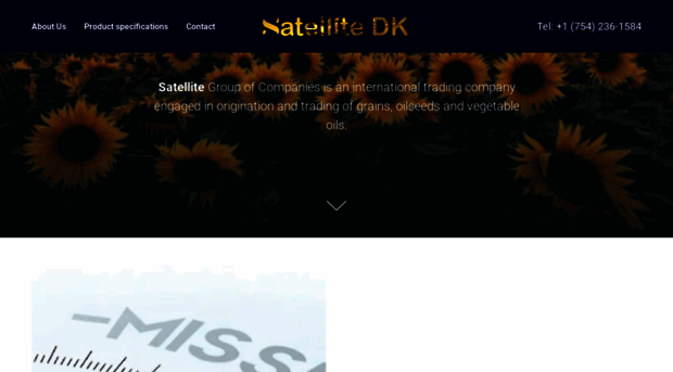 satellitedk.com