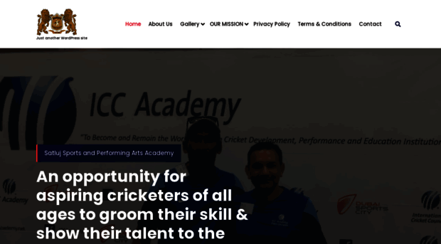 satlujcricketacademy.in