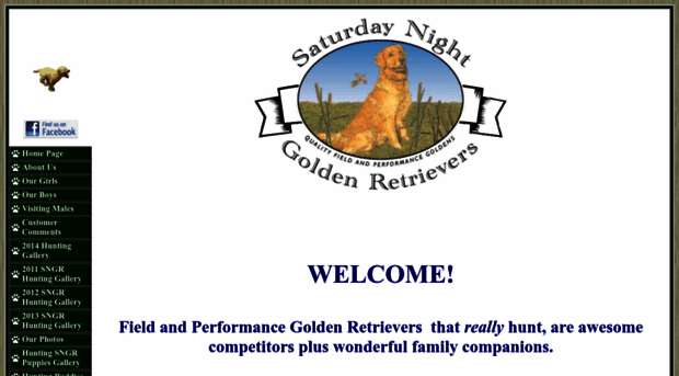 saturdaynightgoldens.com