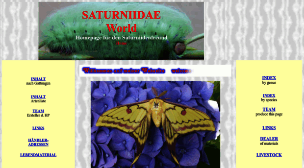 saturniidae-web.de