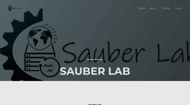 sauber-lab.com