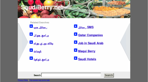 saudiberry.net