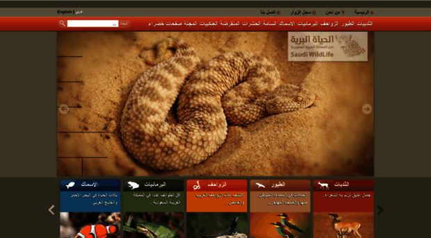 saudiwildlife.com