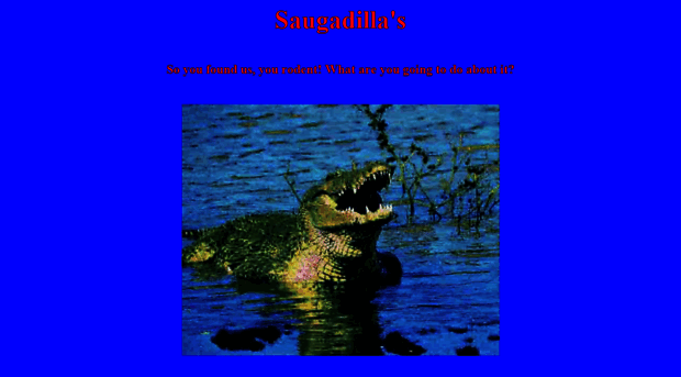 saugadilla.com