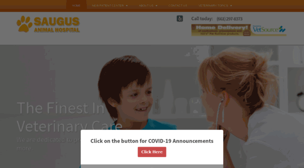 saugusvet.com