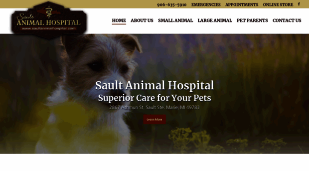 saultanimalhospital.com