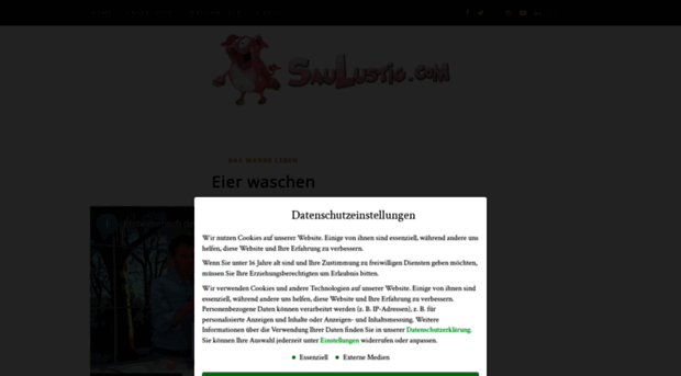 saulustig.com