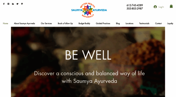 saumya-ayurveda.com