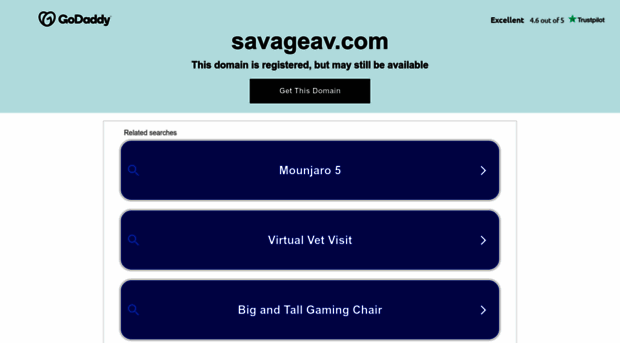 savageav.com