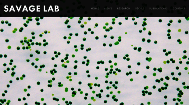 savagelab.org