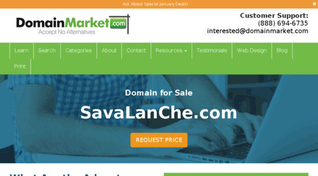 savalanche.com
