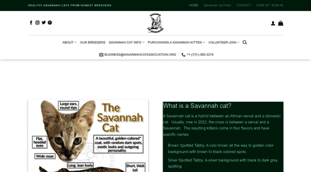 savannahcatassociation.org