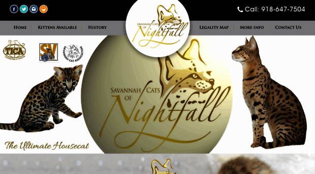 savannahcatsofnightfall.com