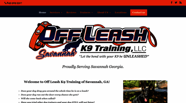 savannahdogtrainers.com