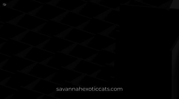 savannahexoticcats.com