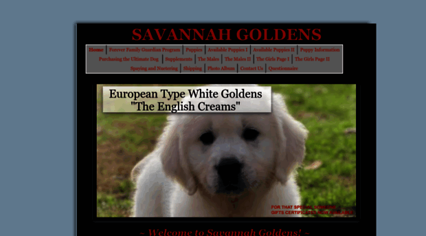 savannahgoldens.com