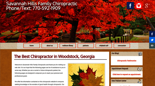 savannahhillsfamilychiropractic.com