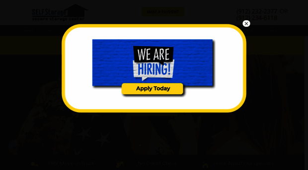 savannahsecurestorage.com