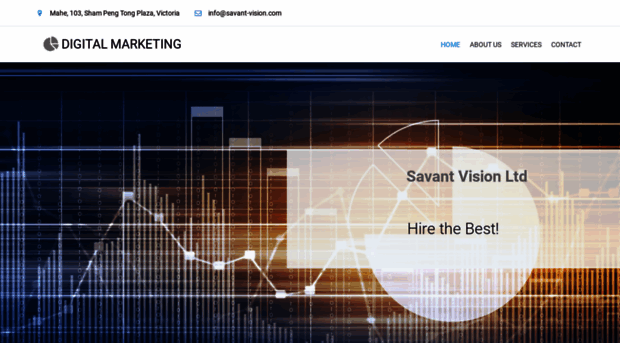 savant-vision.com