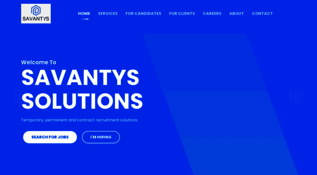 savantys.com