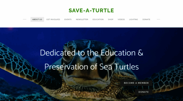 save-a-turtle.org