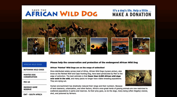 save-the-african-wild-dog.com