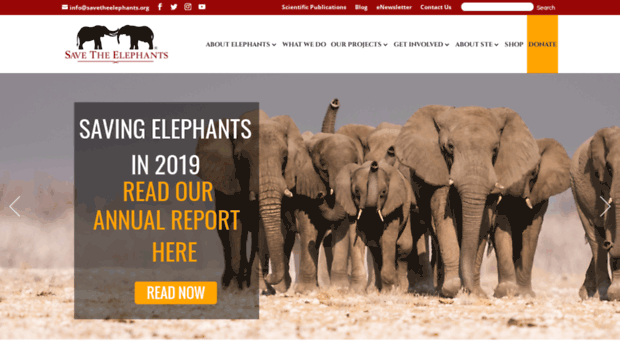 save-the-elephants.org