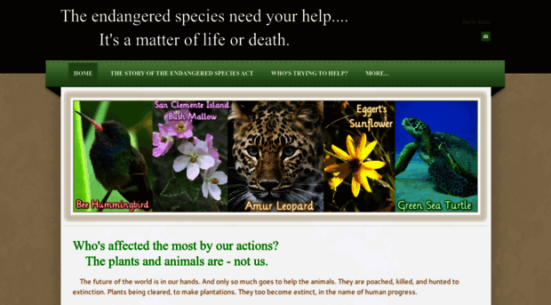 save-the-endangered-species.weebly.com