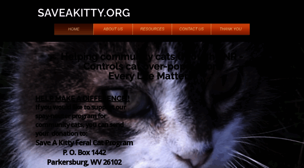 saveakitty.org