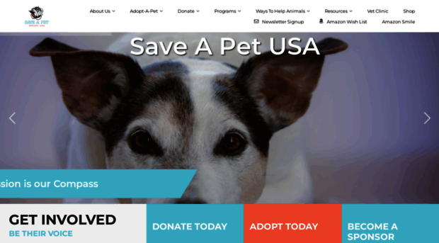 saveapetny.org