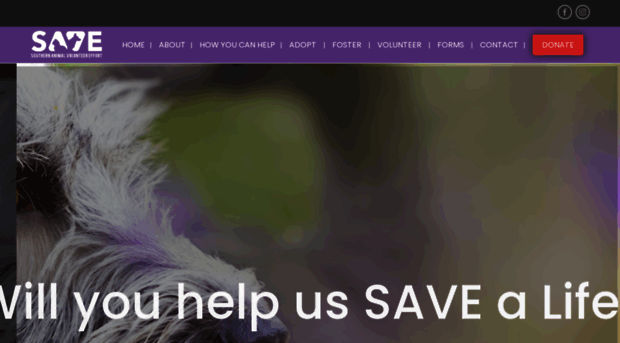 savecares.com