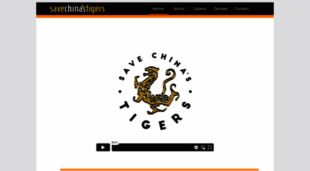 savechinastigers.com