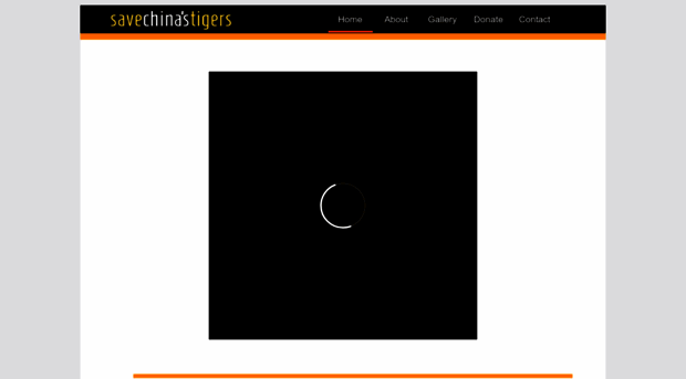 savechinastigers.org