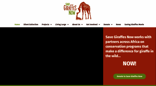 savegiraffesnow.org