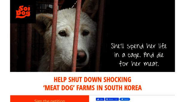 savekoreandogs.soidog.org