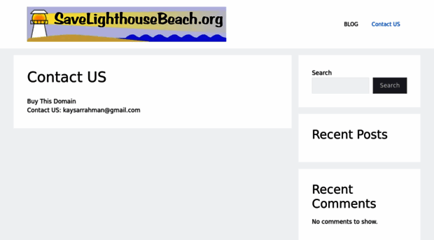 savelighthousebeach.org