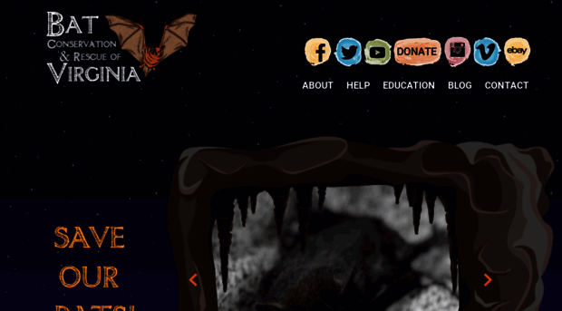 savelucythebat.org