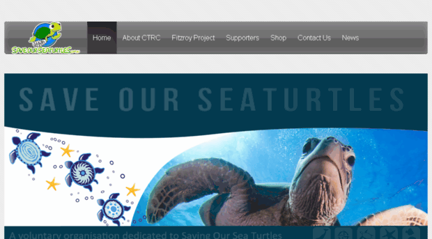 saveourseaturtles.com.au