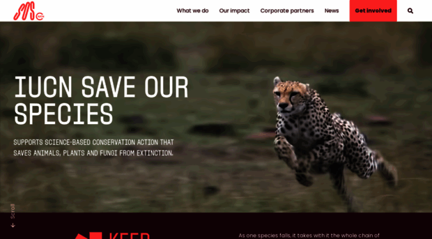 saveourspecies.org