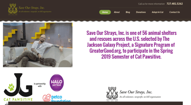 saveourstraysinc.com
